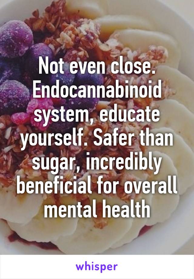 Not even close. Endocannabinoid system, educate yourself. Safer than sugar, incredibly beneficial for overall mental health