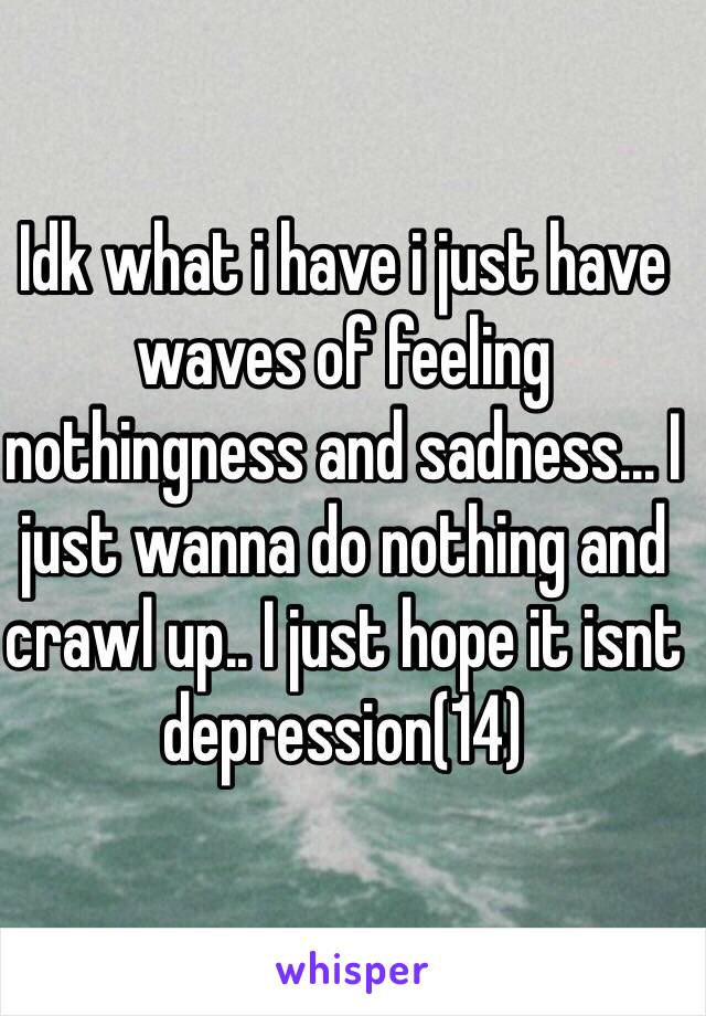 Idk what i have i just have waves of feeling nothingness and sadness... I just wanna do nothing and crawl up.. I just hope it isnt depression(14)