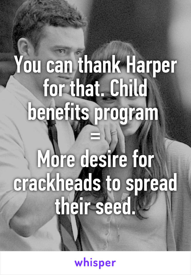 You can thank Harper for that. Child benefits program 
=
More desire for crackheads to spread their seed.