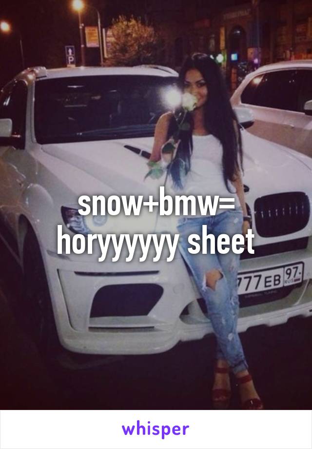 snow+bmw= horyyyyyy sheet