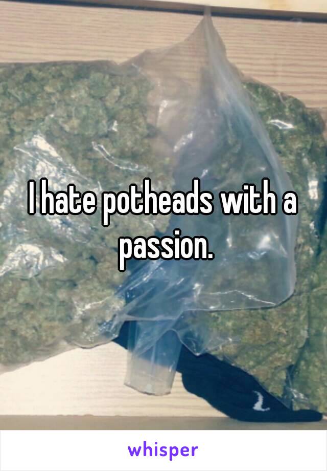 I hate potheads with a passion.