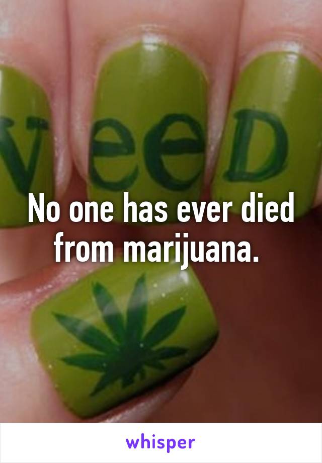 No one has ever died from marijuana. 