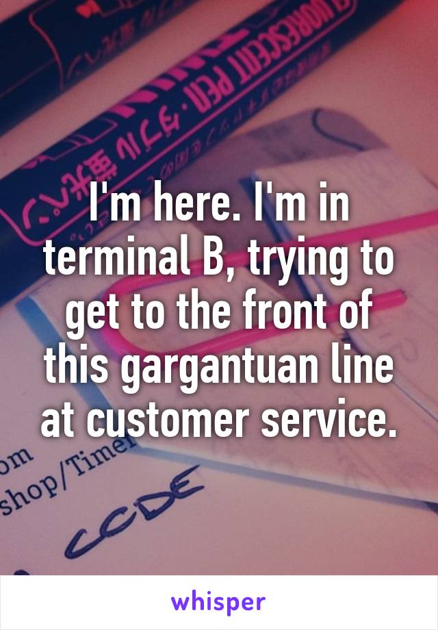 I'm here. I'm in terminal B, trying to get to the front of this gargantuan line at customer service.