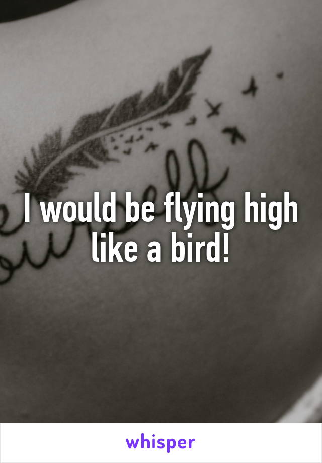 I would be flying high like a bird!