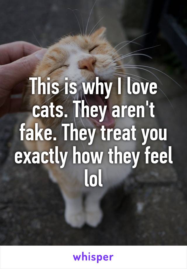 This is why I love cats. They aren't fake. They treat you exactly how they feel lol