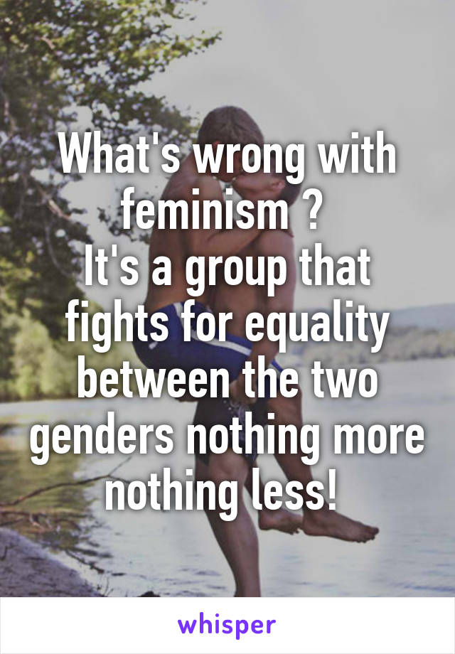 What's wrong with feminism ? 
It's a group that fights for equality between the two genders nothing more nothing less! 