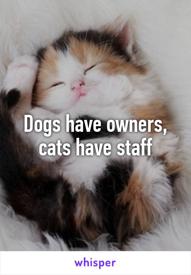 Dogs have owners, cats have staff