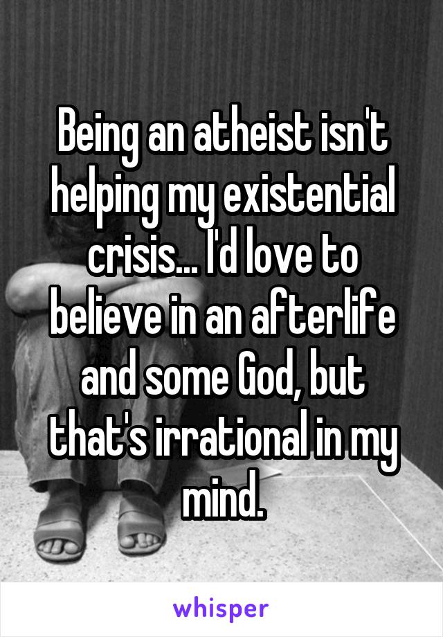 Being an atheist isn't helping my existential crisis... I'd love to believe in an afterlife and some God, but that's irrational in my mind.