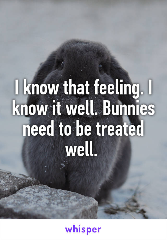 I know that feeling. I know it well. Bunnies need to be treated well. 