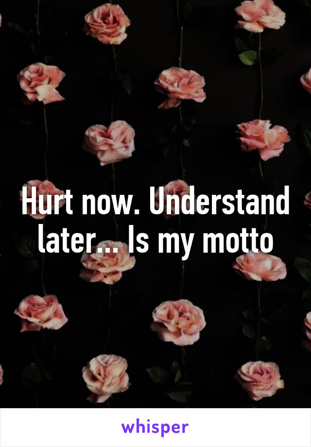 Hurt now. Understand later... Is my motto