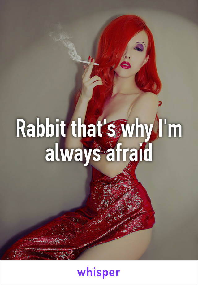 Rabbit that's why I'm always afraid