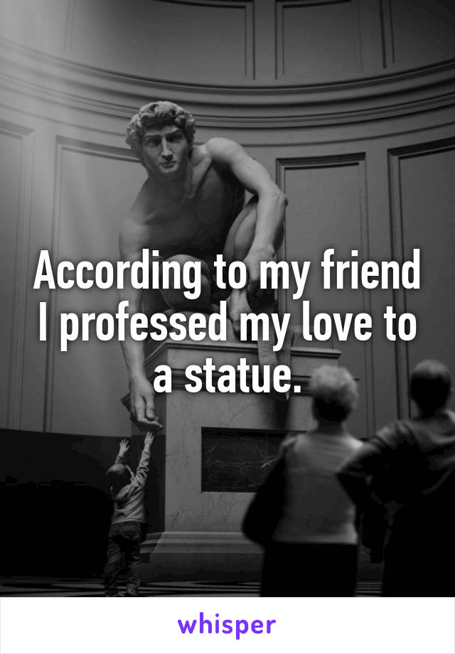 According to my friend I professed my love to a statue.