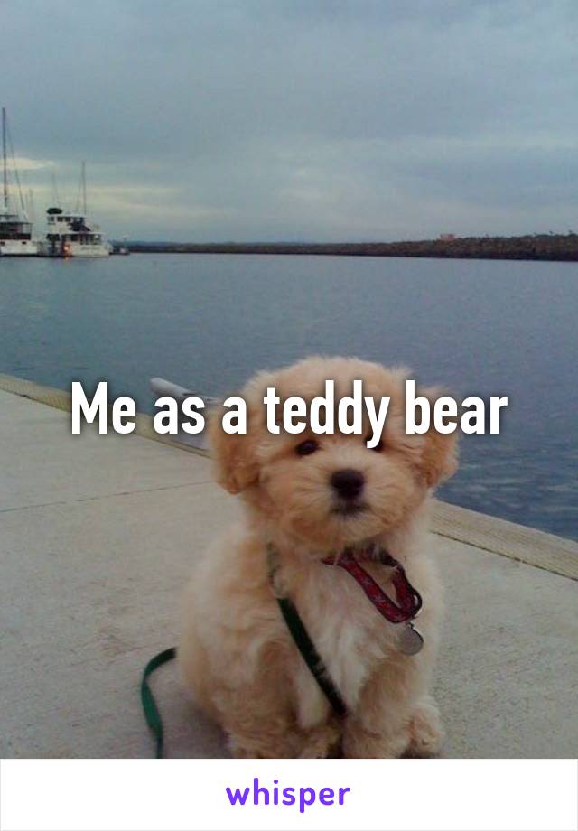 Me as a teddy bear