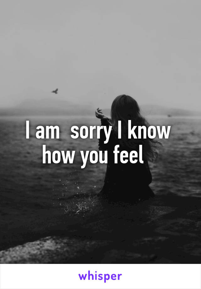 I am  sorry I know  how you feel   