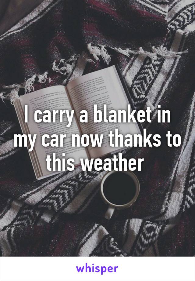 I carry a blanket in my car now thanks to this weather 