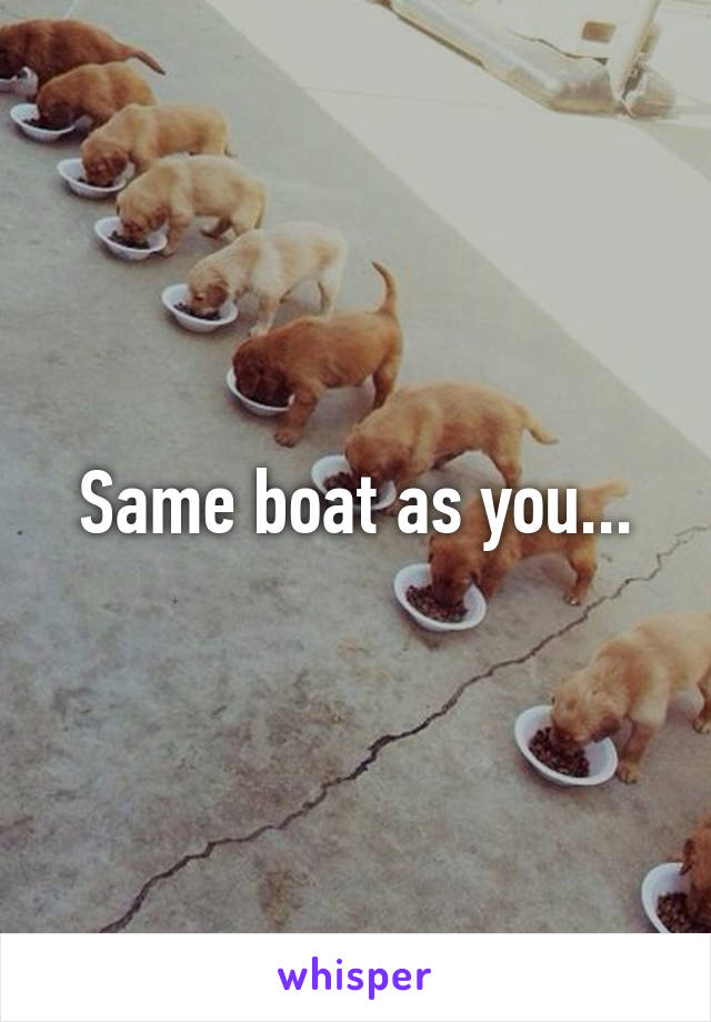 Same boat as you...