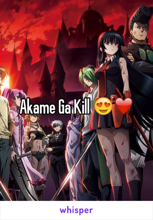 Akame Ga Kill 😍❤️