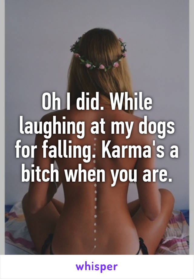 Oh I did. While laughing at my dogs for falling. Karma's a bitch when you are.