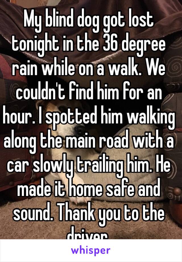 My blind dog got lost tonight in the 36 degree rain while on a walk. We couldn't find him for an hour. I spotted him walking along the main road with a car slowly trailing him. He made it home safe and sound. Thank you to the driver. 