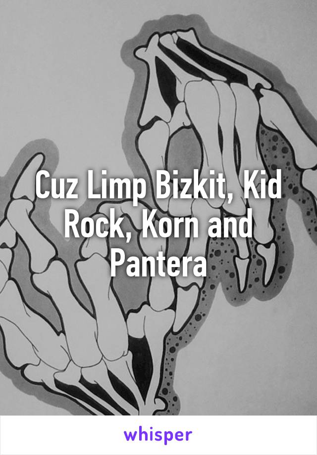 Cuz Limp Bizkit, Kid Rock, Korn and Pantera