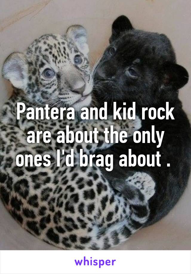 Pantera and kid rock are about the only ones I'd brag about . 