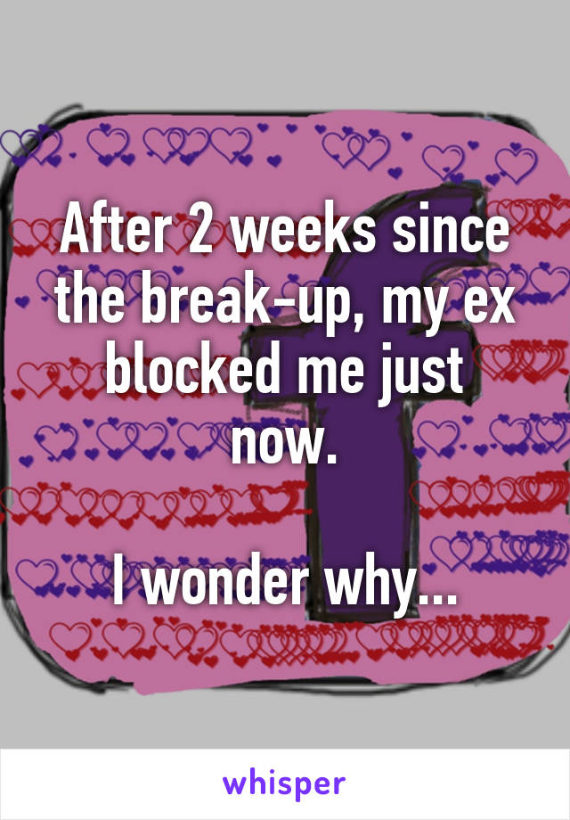 After 2 weeks since
the break-up, my ex
blocked me just now.

I wonder why...