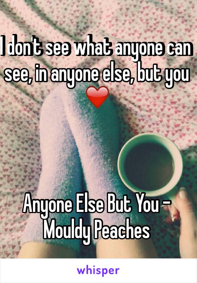 I don't see what anyone can see, in anyone else, but you ❤️



Anyone Else But You - Mouldy Peaches