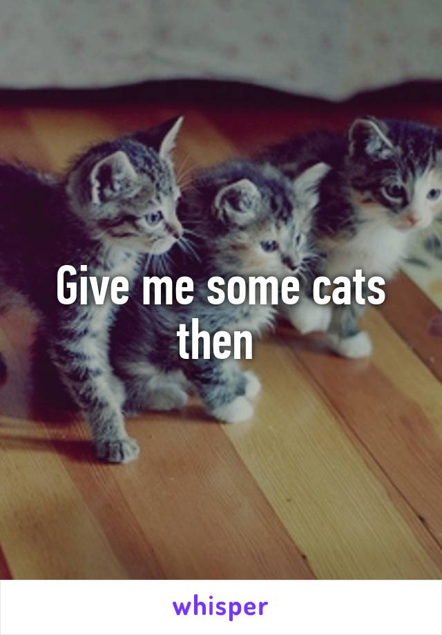 Give me some cats then 