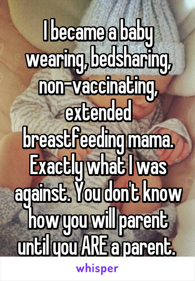 I became a baby wearing, bedsharing, non-vaccinating, extended breastfeeding mama. Exactly what I was against. You don't know how you will parent until you ARE a parent. 