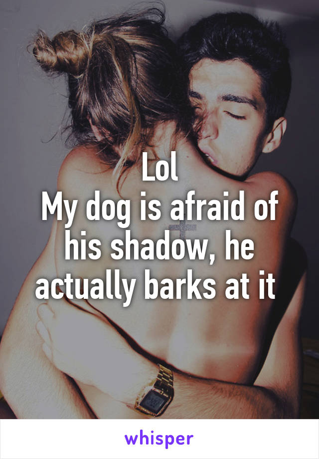 Lol
My dog is afraid of his shadow, he actually barks at it 