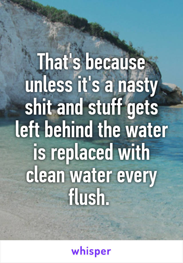 That's because unless it's a nasty shit and stuff gets left behind the water is replaced with clean water every flush. 