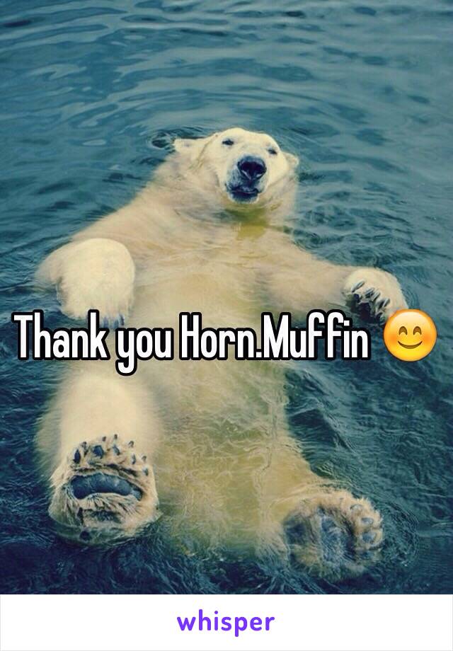 Thank you Horn.Muffin 😊