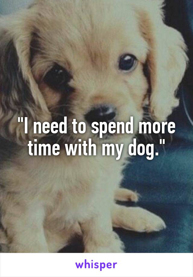 "I need to spend more time with my dog."