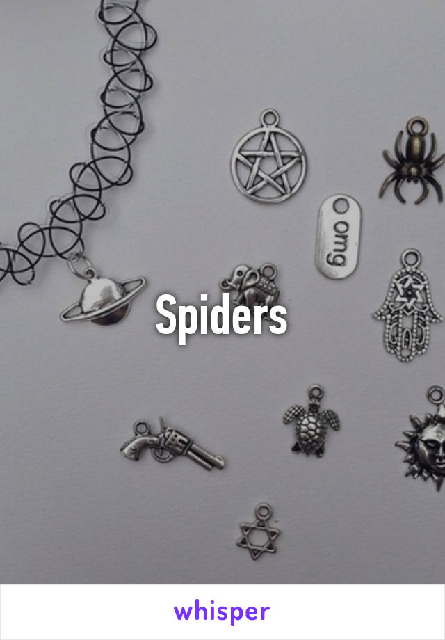 Spiders