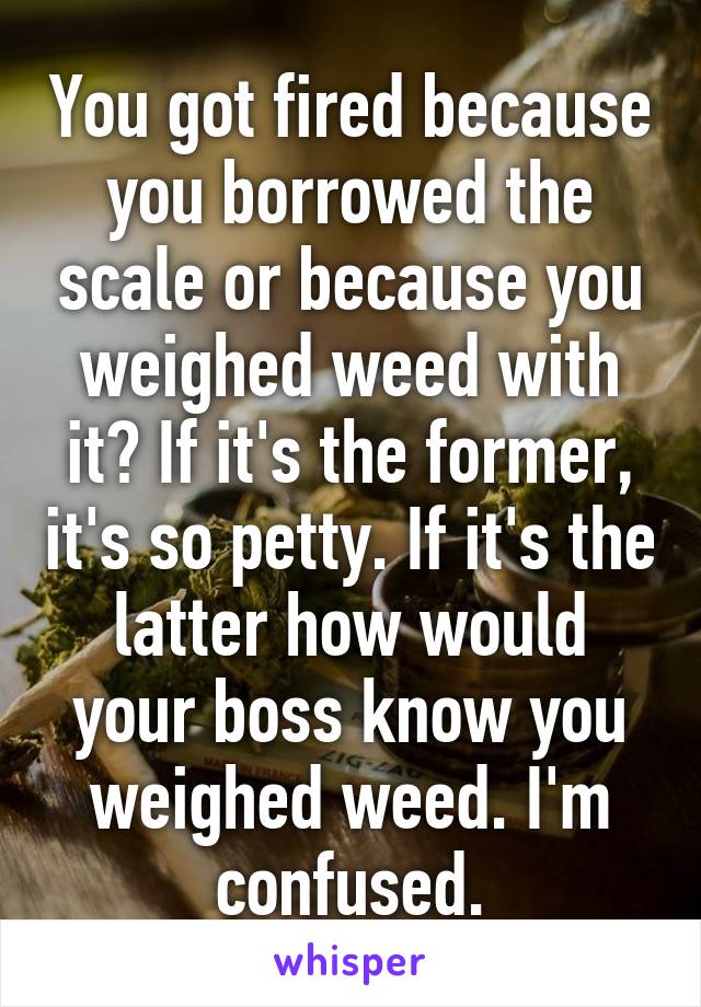 You got fired because you borrowed the scale or because you weighed weed with it? If it's the former, it's so petty. If it's the latter how would your boss know you weighed weed. I'm confused.
