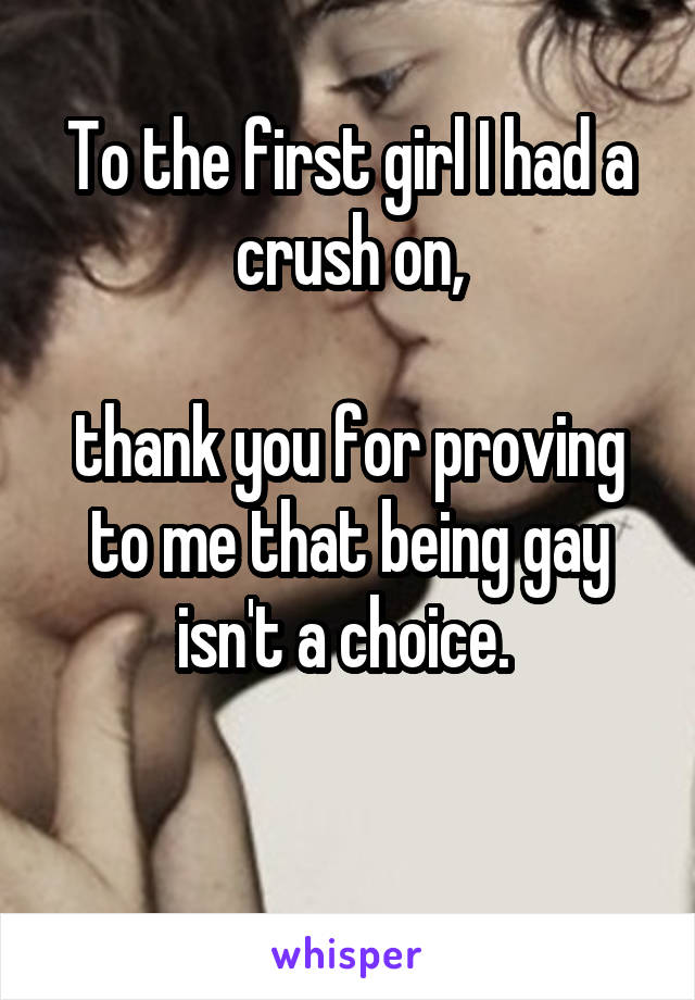 To the first girl I had a crush on,

thank you for proving to me that being gay isn't a choice. 

