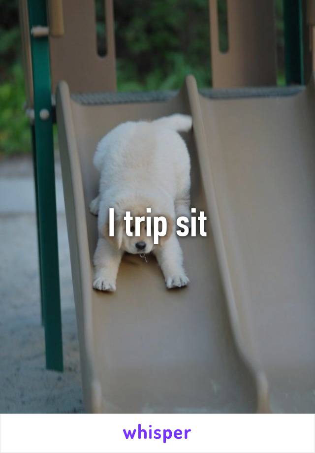 I trip sit