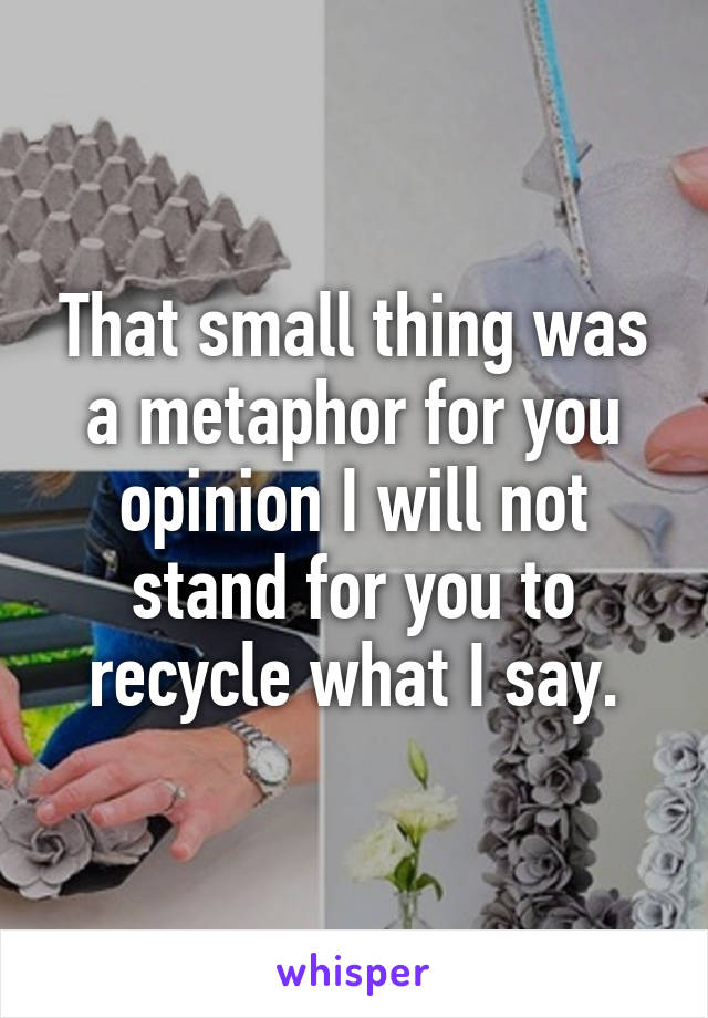 That small thing was a metaphor for you opinion I will not stand for you to recycle what I say.