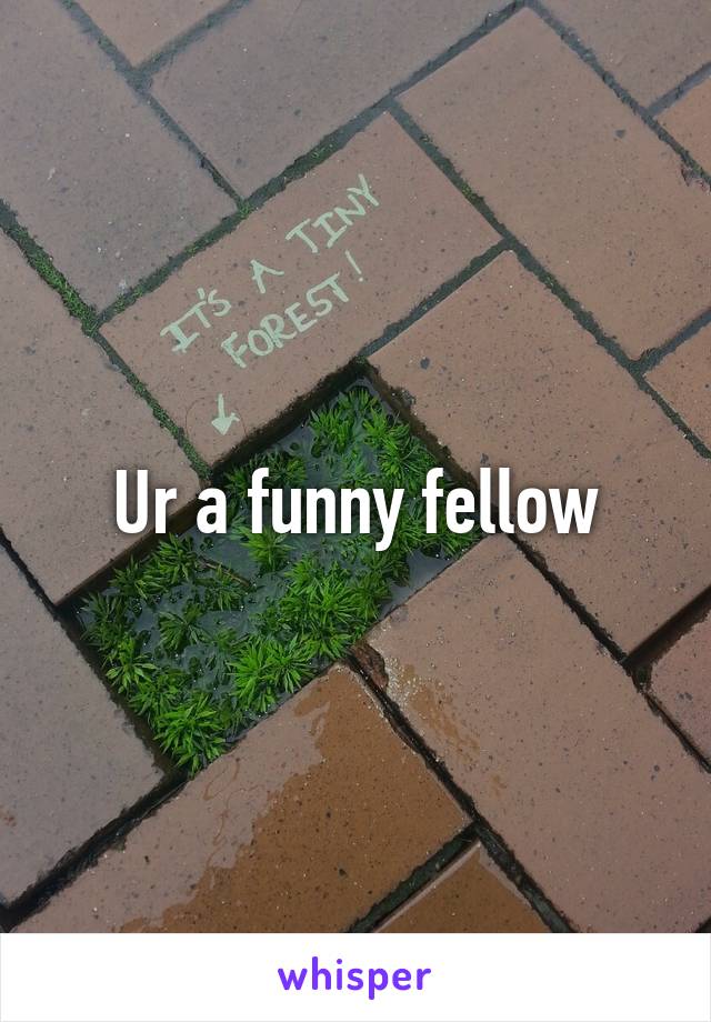 Ur a funny fellow