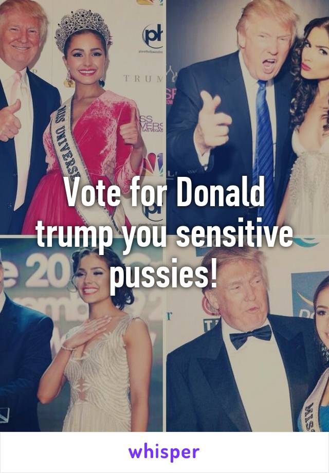 Vote for Donald trump you sensitive pussies!