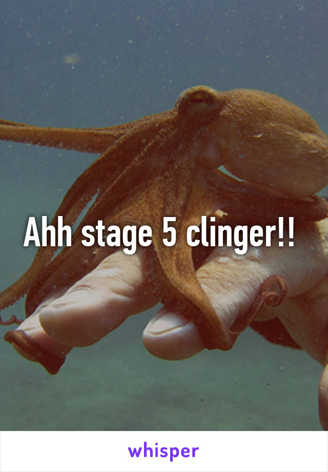 Ahh stage 5 clinger!! 
