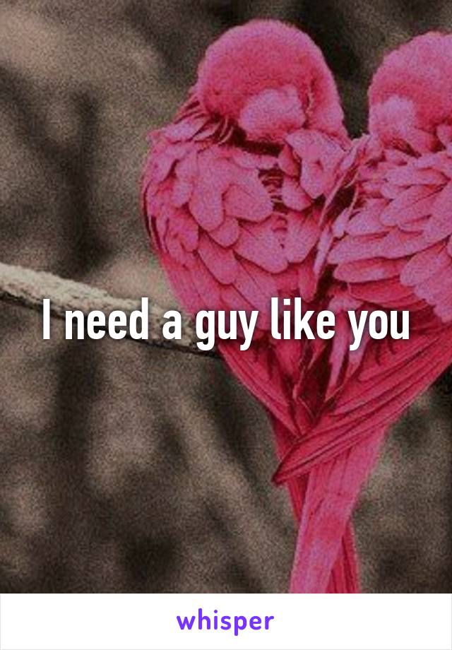 I need a guy like you