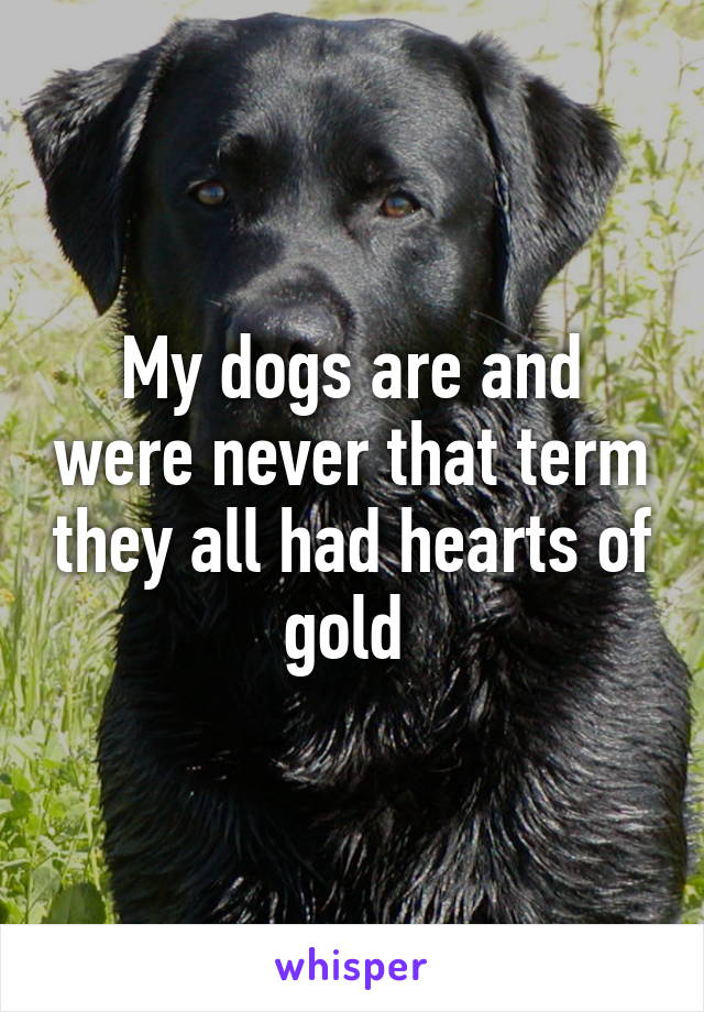 My dogs are and were never that term they all had hearts of gold 