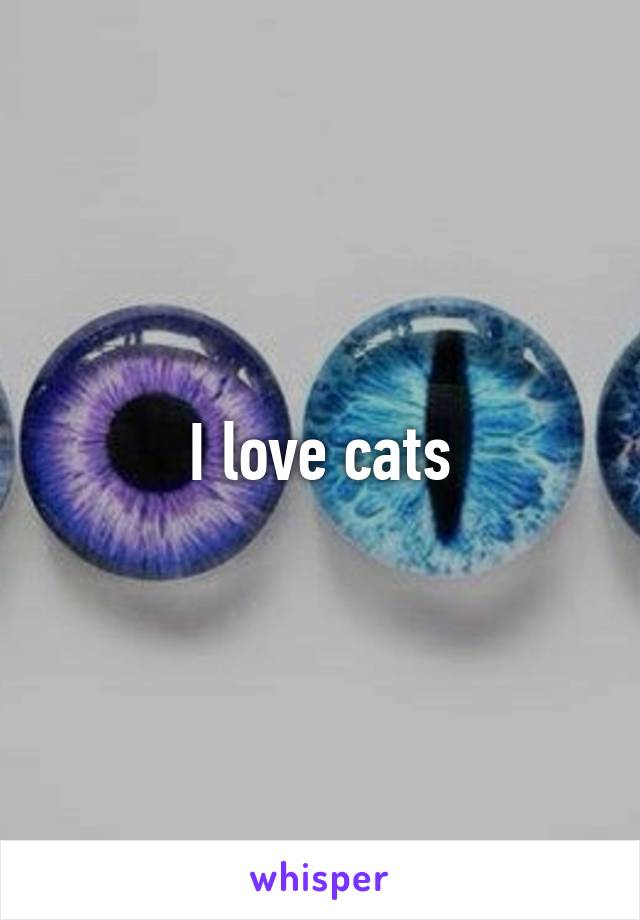 I love cats