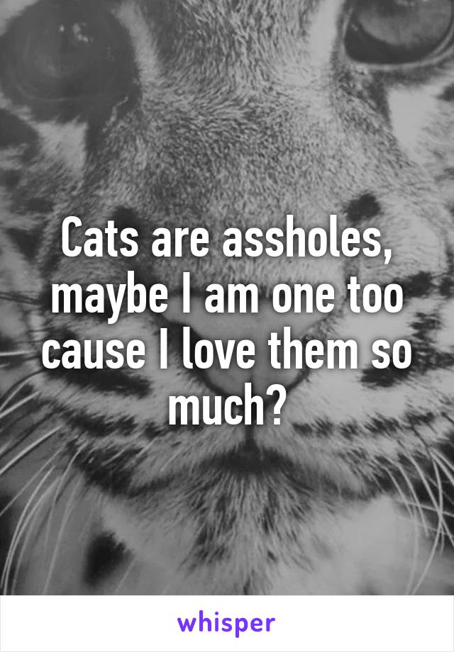 Cats are assholes, maybe I am one too cause I love them so much?