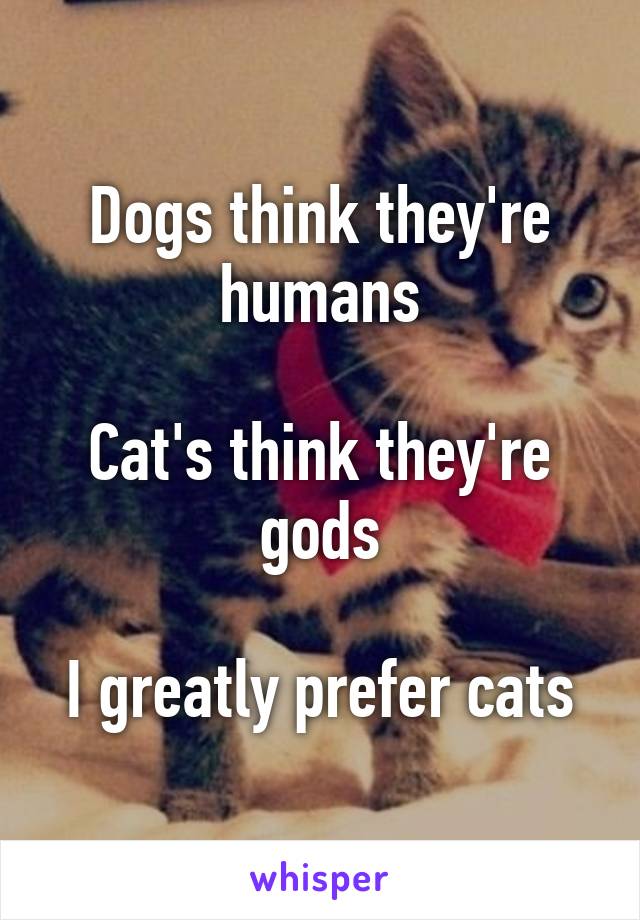 Dogs think they're humans

Cat's think they're gods

I greatly prefer cats