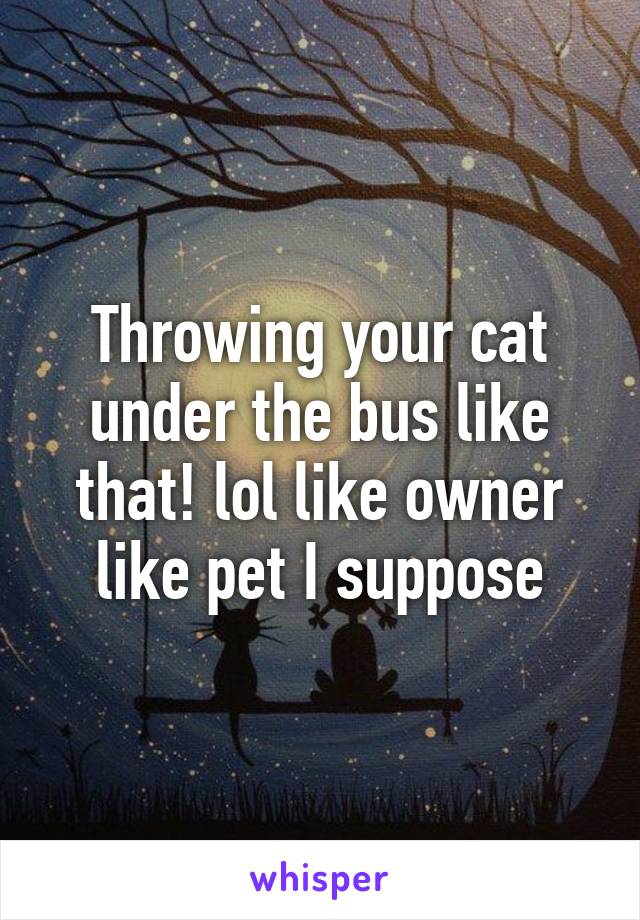 Throwing your cat under the bus like that! lol like owner like pet I suppose