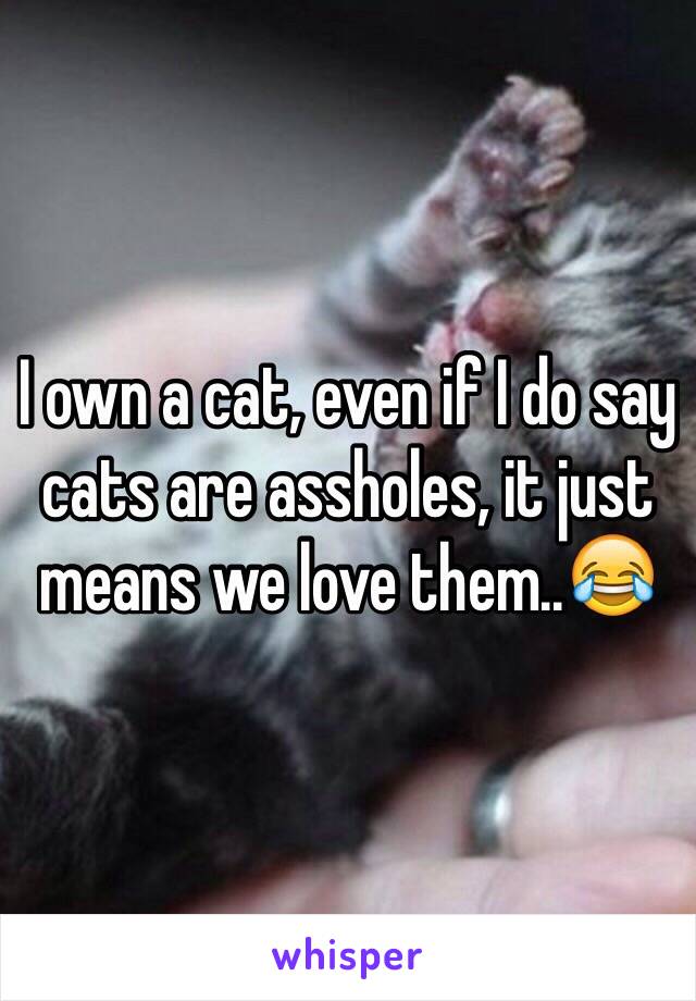 I own a cat, even if I do say cats are assholes, it just means we love them..😂