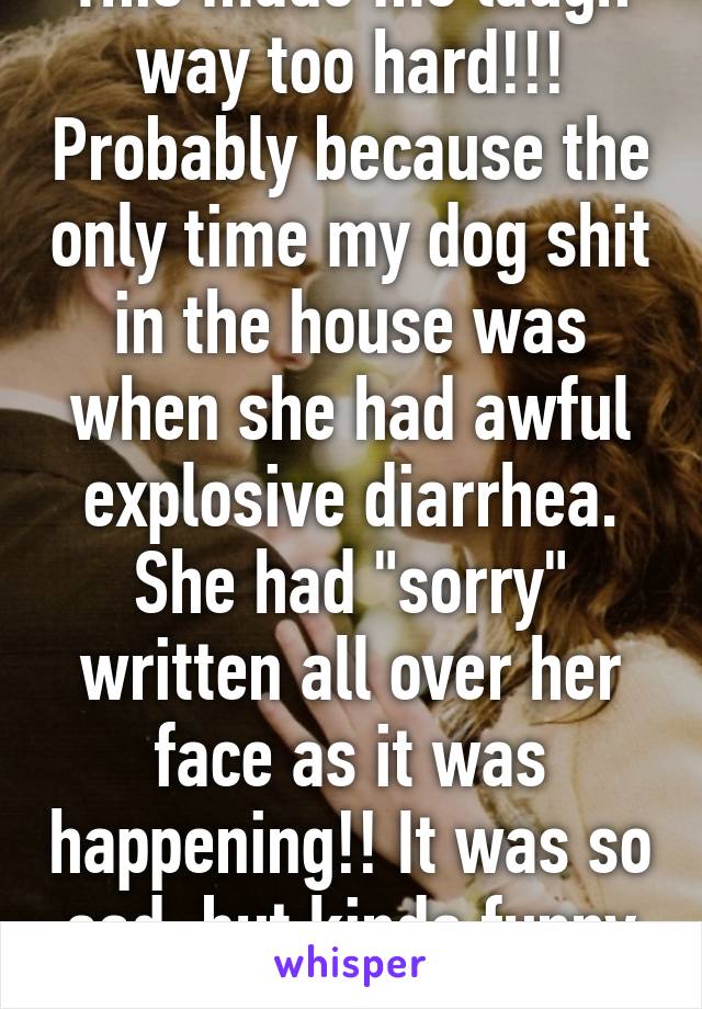 This made me laugh way too hard!!! Probably because the only time my dog shit in the house was when she had awful explosive diarrhea. She had "sorry" written all over her face as it was happening!! It was so sad, but kinda funny too now. 