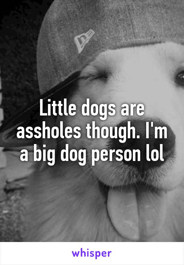 Little dogs are assholes though. I'm a big dog person lol